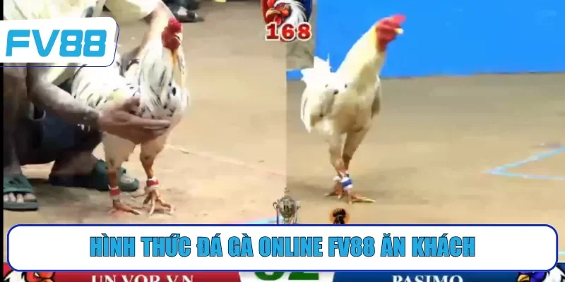 Hình thức đá gà online FV88 ăn khách
