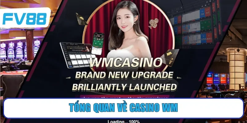 Tổng quan về casino WM